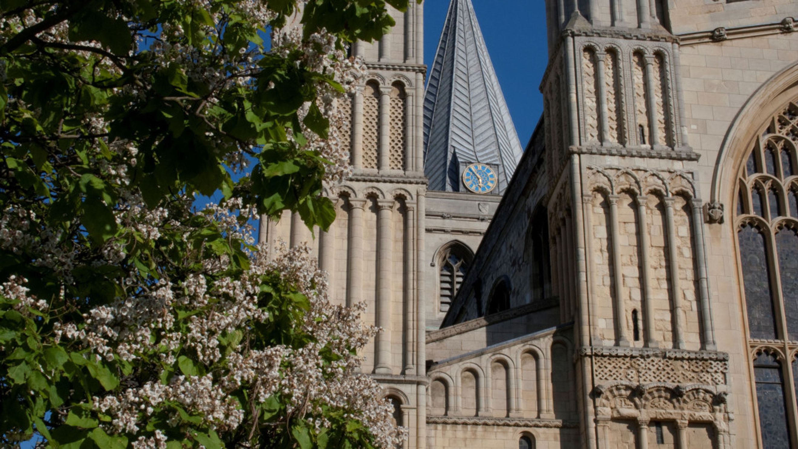A cathedral spire with a clock face is visible behind blooming trees.