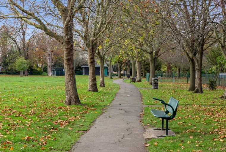 A park pathway lined with trees and fallen leaves, with benches and a trash can.