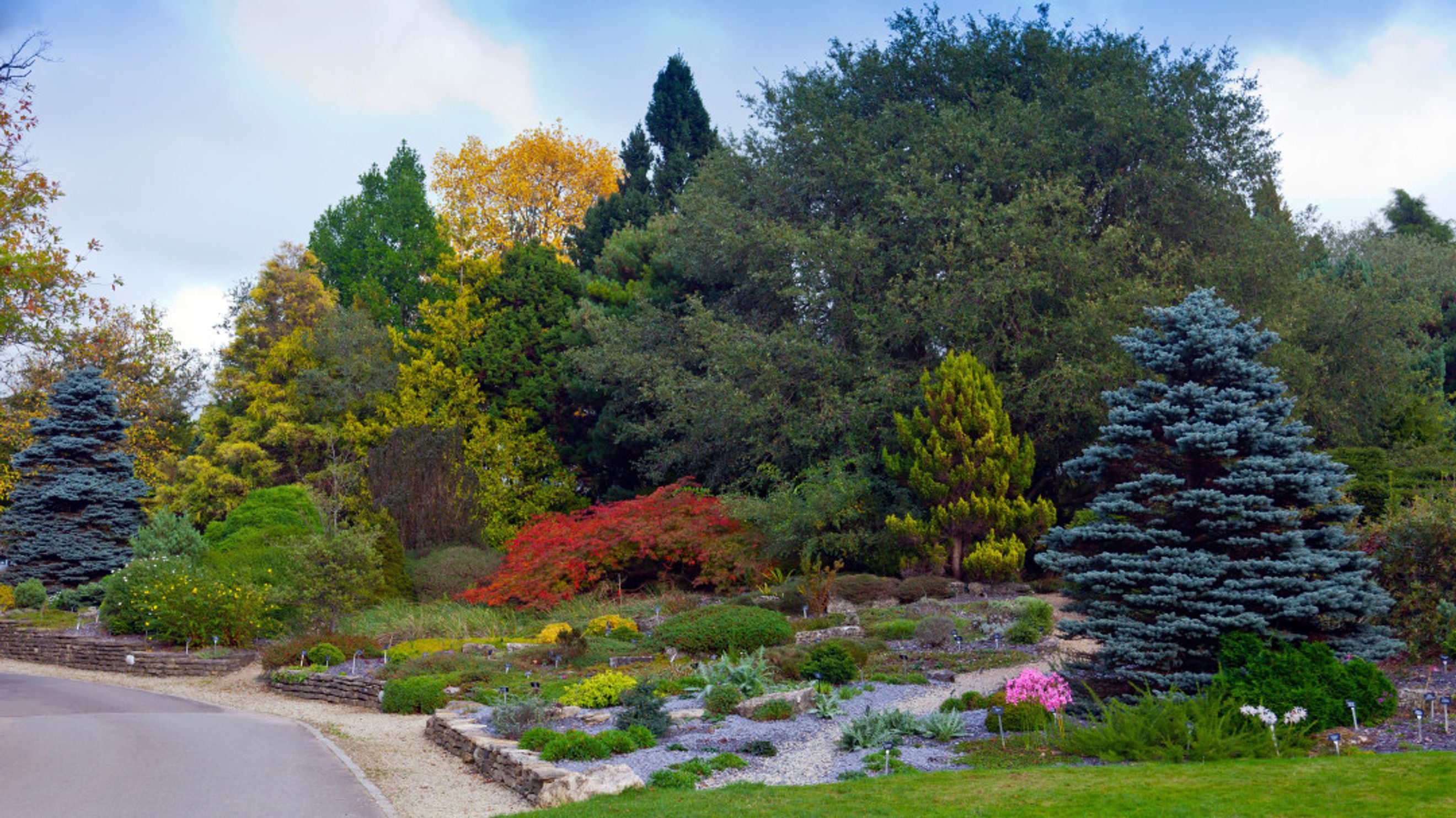 A garden with a variety of trees and plants in autumn colors, featuring winding paths and stone-lined beds.