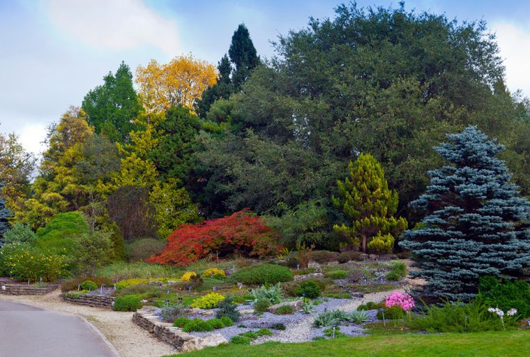 A garden with a variety of trees and plants in autumn colors, featuring winding paths and stone-lined beds.