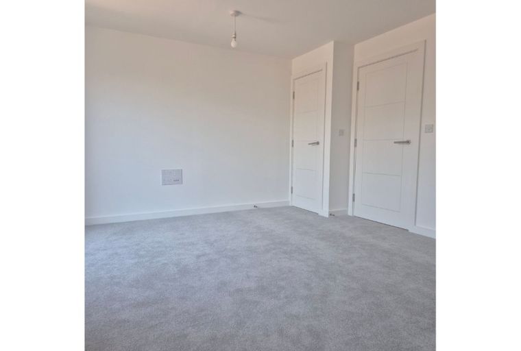 A room with two white doors and a grey carpet.