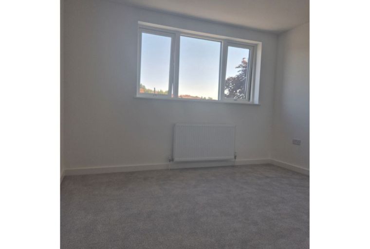 A room with a window, radiator, and carpet.