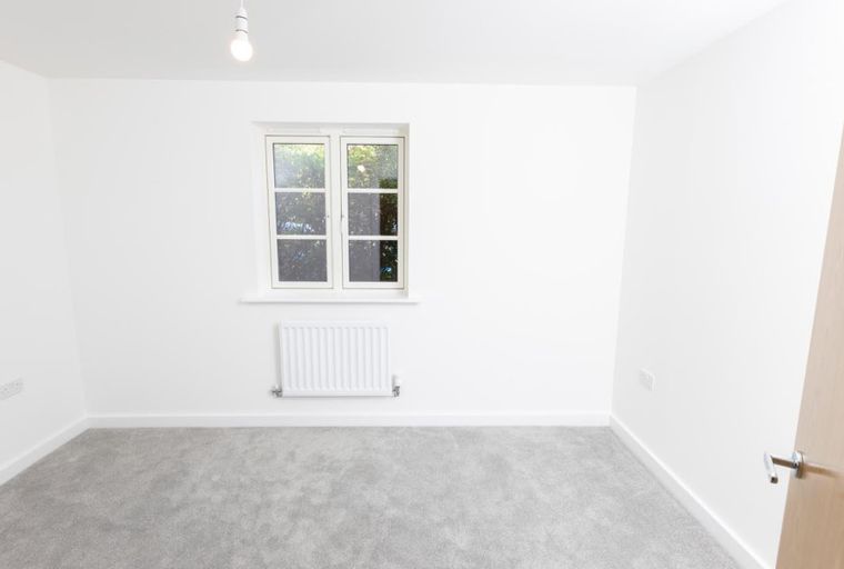 A room with a window, radiator, and carpet.
