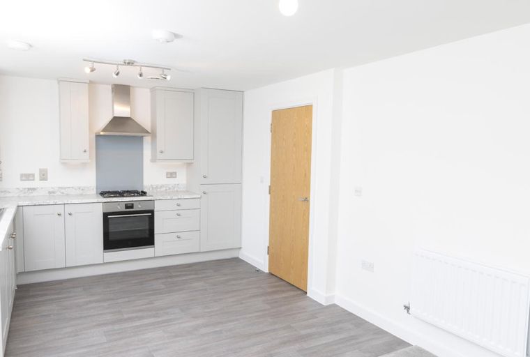 A modern kitchen with grey cabinets, a gas hob, and an oven.