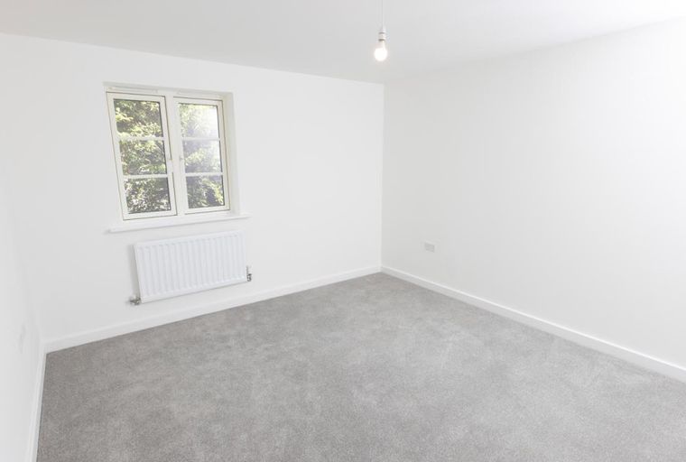 A room with a window, radiator, and carpet.
