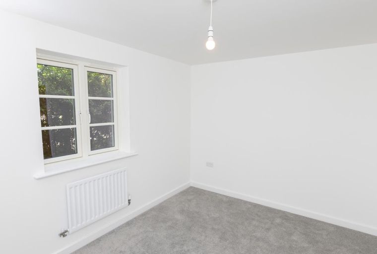 A room with a window, radiator, and carpet.