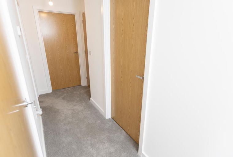 A hallway with multiple interior doors and carpeted flooring.