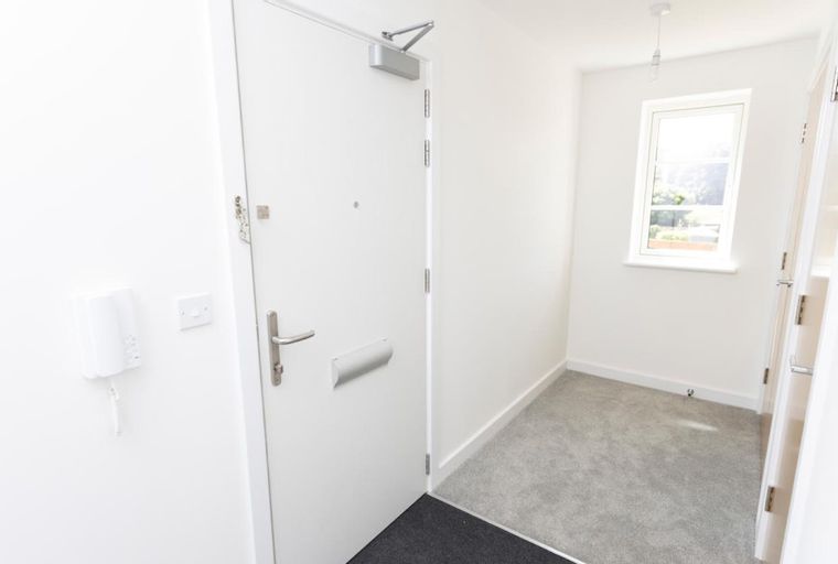 A hallway with a white door, a window, and a carpet.