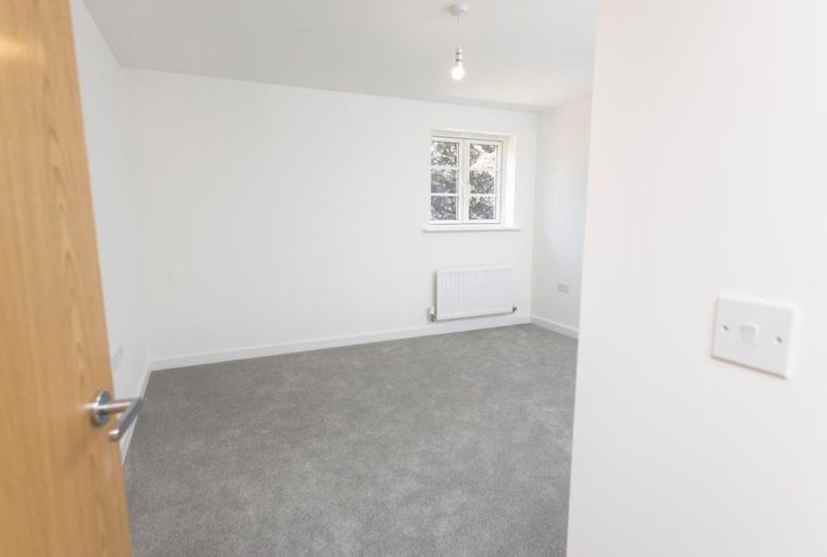 A room with a grey carpet, white walls, a window, and a radiator.