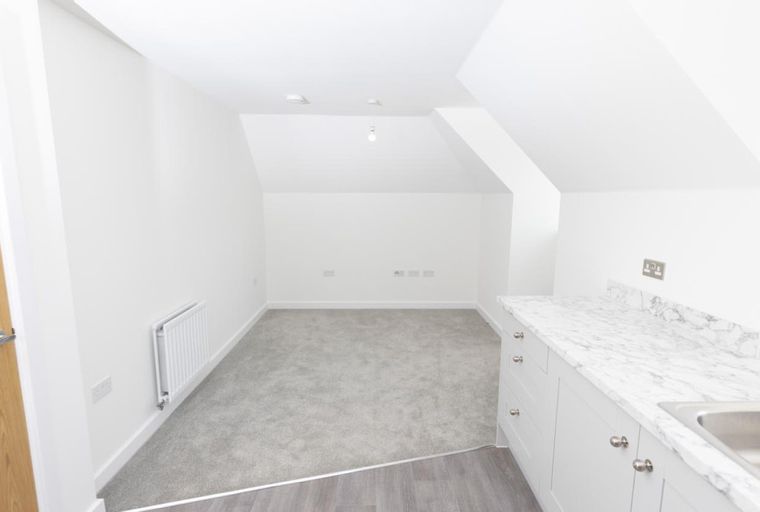 A room with a kitchenette, carpet, and a door.