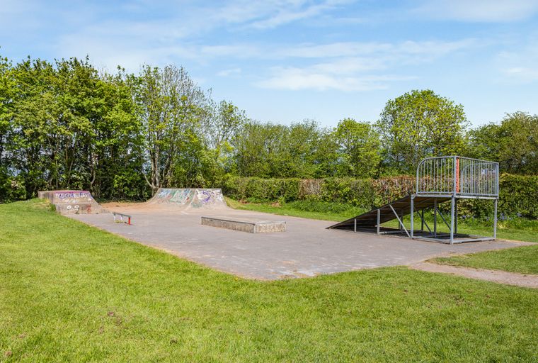A skatepark with ramps, rails, and obstacles surrounded by grass and trees under a blue sky.