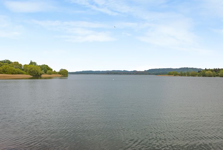 A wide view of a large lake with trees and reeds along the shore under a partly cloudy sky.