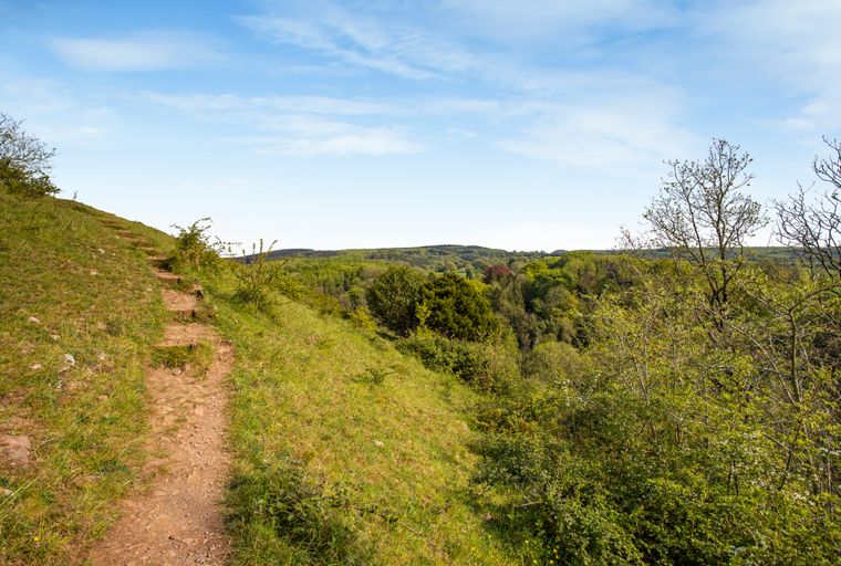 A dirt path winds up a grassy hill overlooking a dense forest under a blue sky.