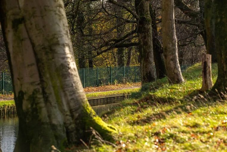 A park scene with trees, a fence, and a body of water.