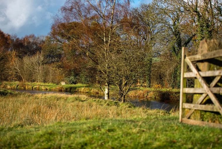 A wooden gate in the foreground overlooks a grassy field and a river with trees in the background.