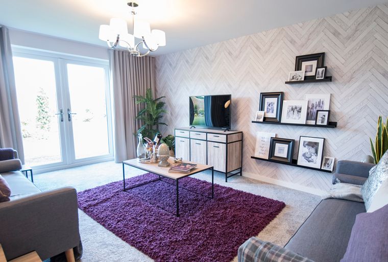A living room with a purple rug, a television, and framed photos on shelves.
