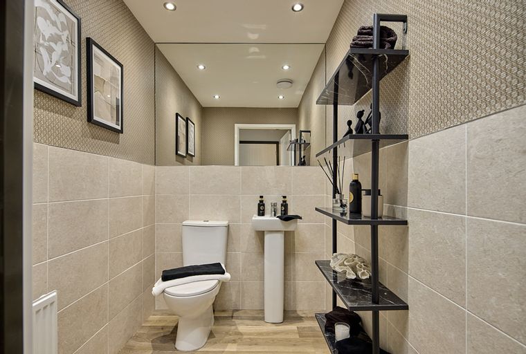A bathroom with a toilet, sink, and shelves.