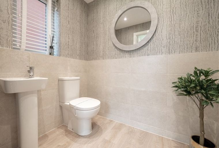 A bathroom with a sink, toilet, mirror, and plant.