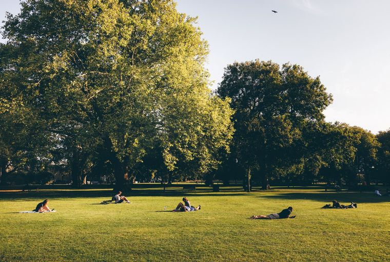 A park with several people relaxing on the grass under large trees.