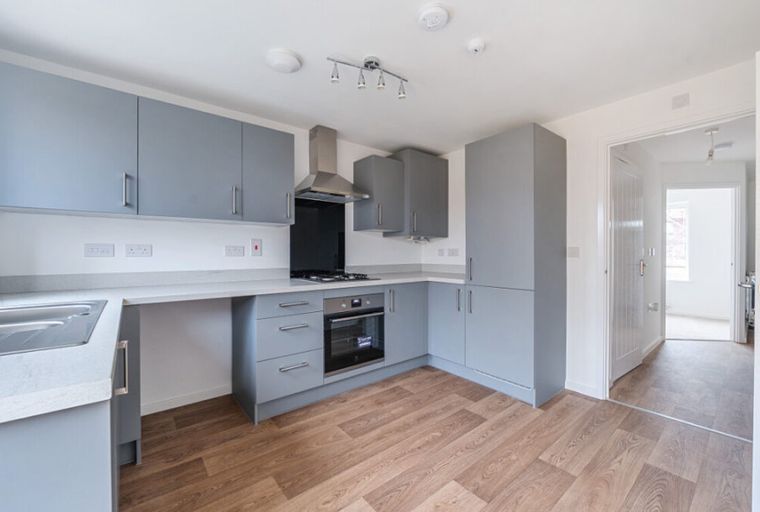 A modern kitchen with grey cabinets, a sink, and a stove.