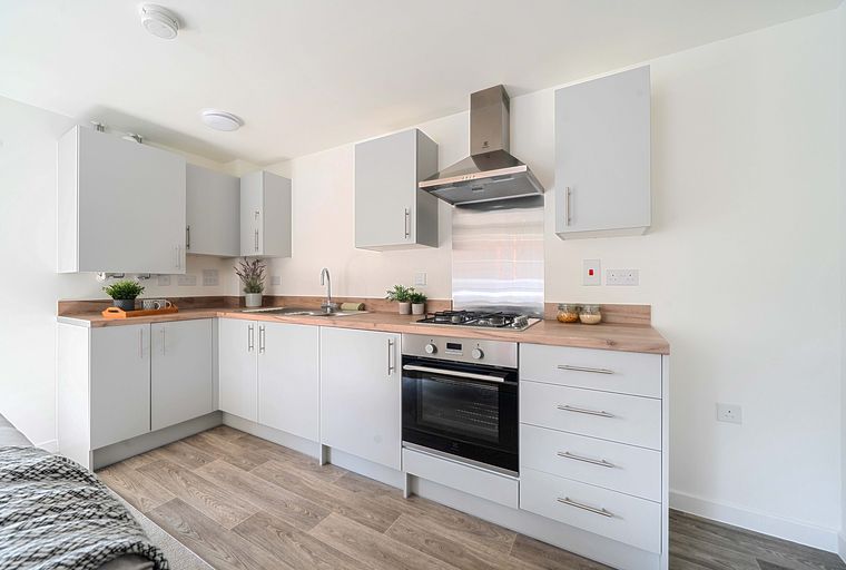 A modern kitchen with grey cabinets, a wooden countertop, and stainless steel appliances.