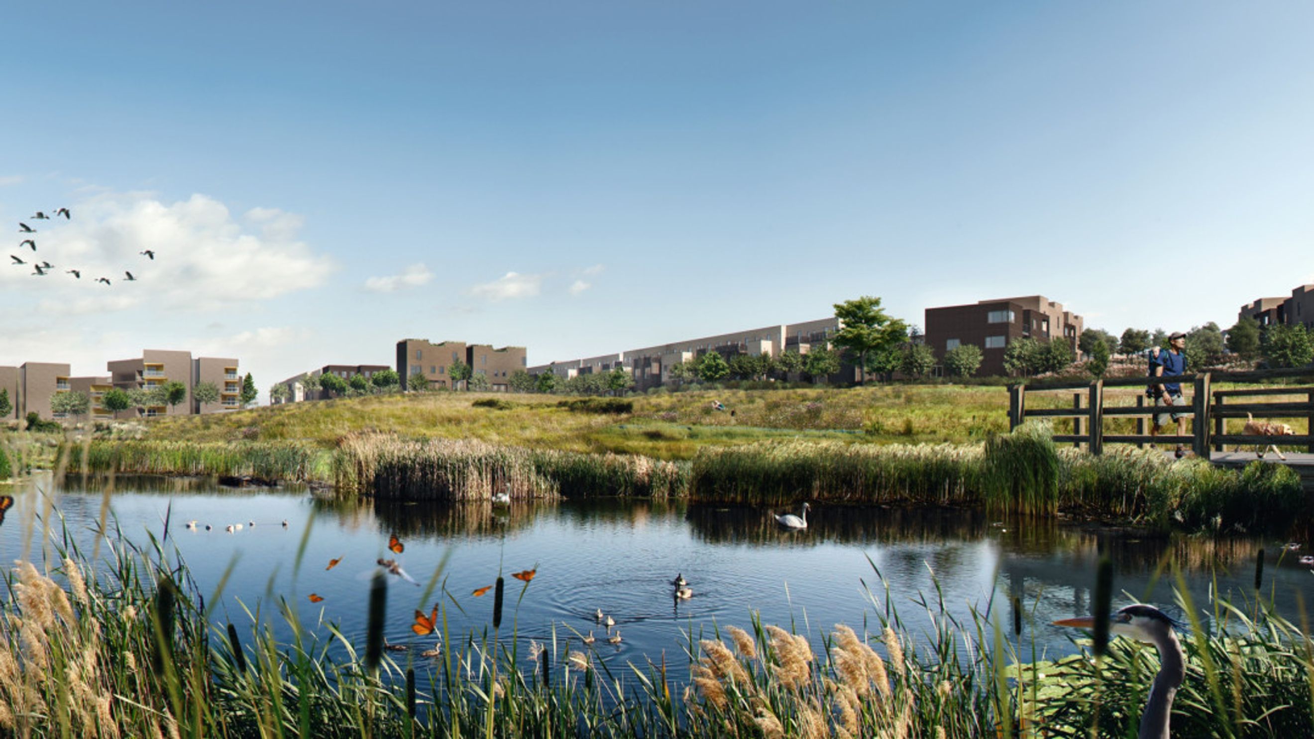 A serene lake with reeds and butterflies in the foreground, modern buildings in the background, and a person walking a dog on a wooden bridge.