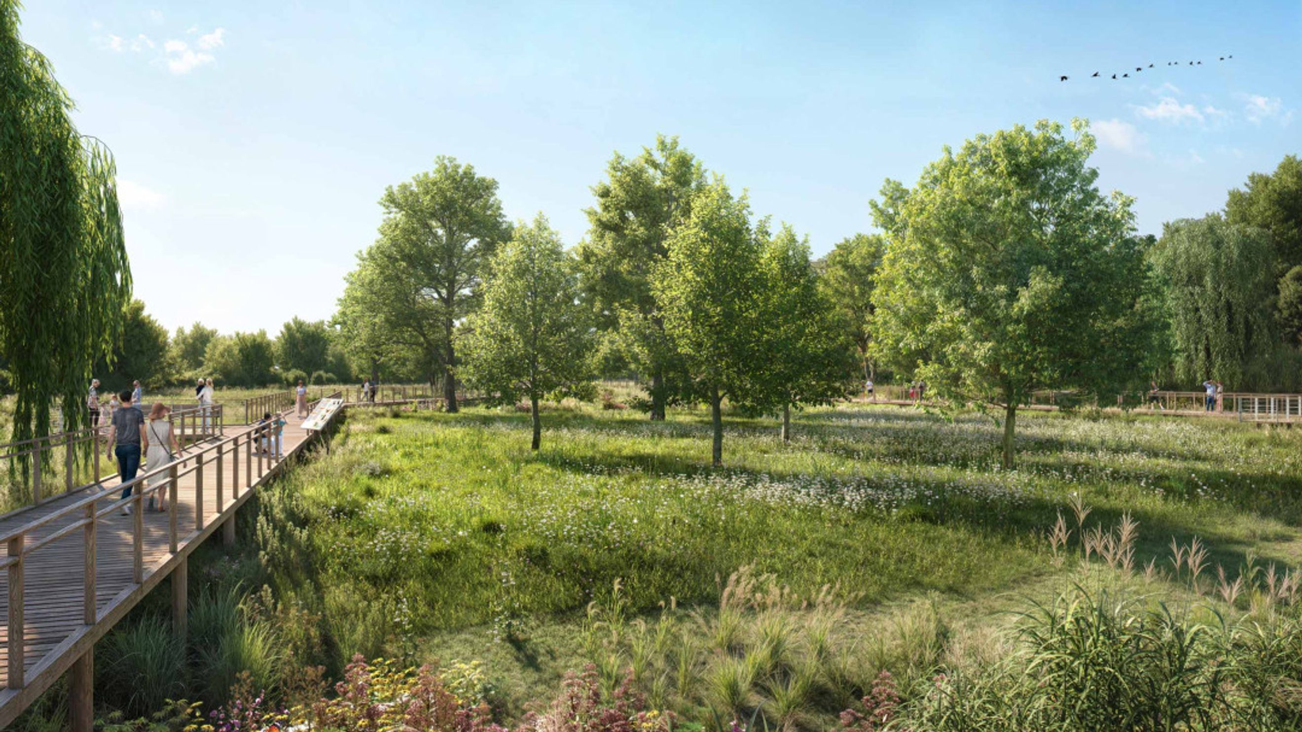 A wooden boardwalk winds through a grassy meadow with scattered trees and wildflowers under a blue sky.
