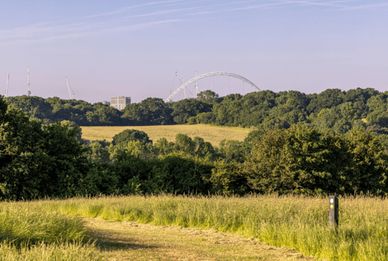 A path leads through a grassy field towards a dense forest, with the Wembley Arch visible in the distance.