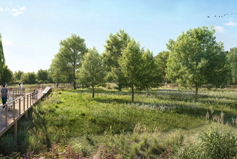A wooden boardwalk winds through a grassy meadow with scattered trees and wildflowers under a blue sky.