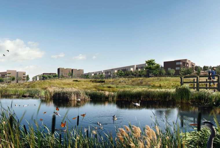 A scenic view of a lake with reeds, butterflies, birds, and modern buildings in the background.