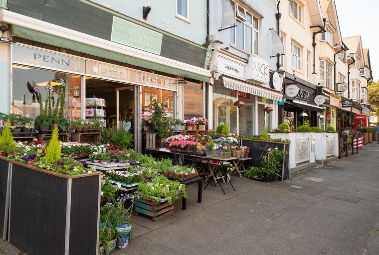 A street view of a flower shop and other businesses with plants and flowers displayed outside.