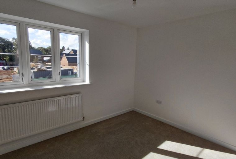 A room with a window, radiator, and carpet.