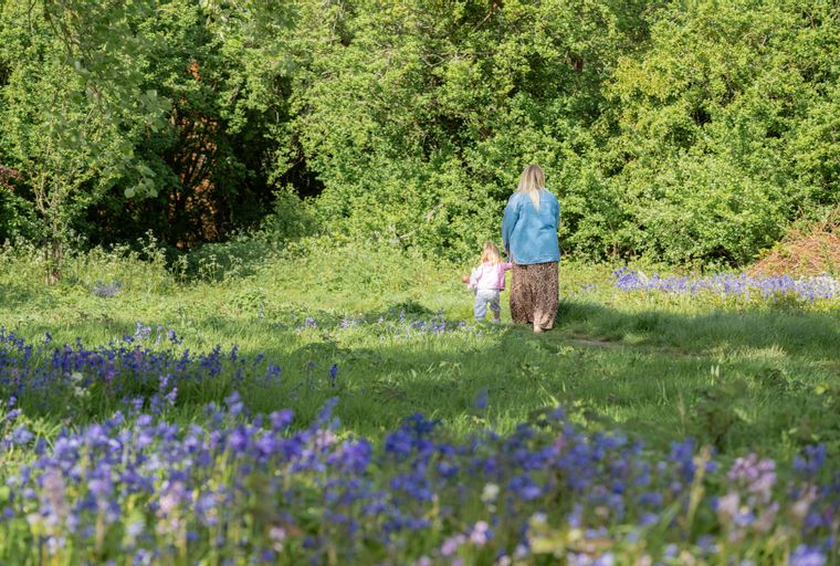 A woman and a child walking through a field of bluebells.