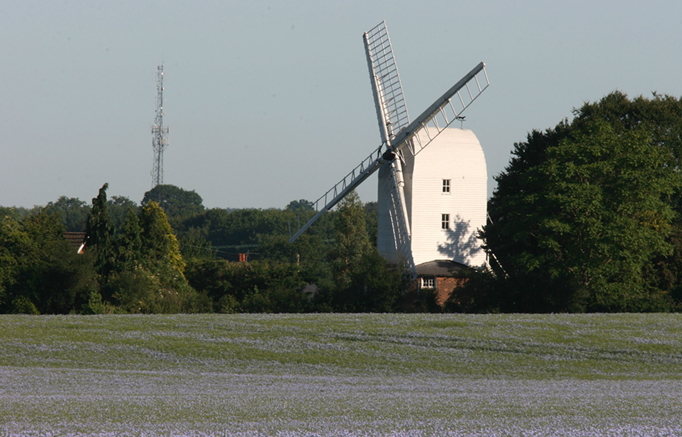 A white windmill stands in a field with trees and a cell tower in the background.